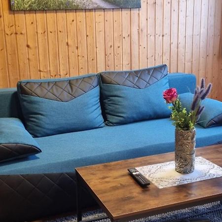 City Apartment Triberg 特里贝格 外观 照片