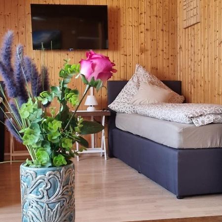 City Apartment Triberg 特里贝格 外观 照片