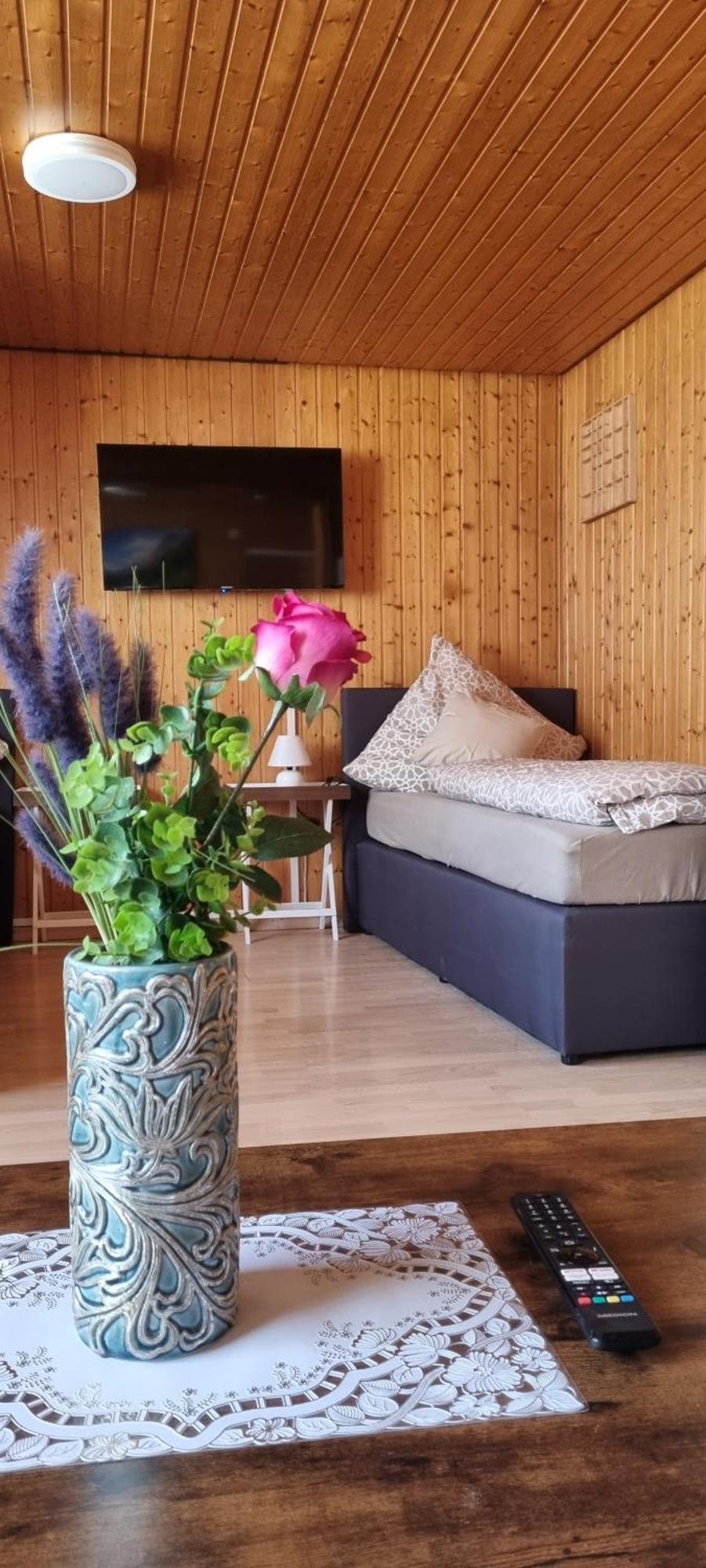 City Apartment Triberg 特里贝格 外观 照片